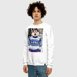Свитшот хлопковый мужской Хаски в свитере, цвет: белый — фото 2