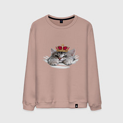 Свитшот хлопковый мужской Pretty kitten, цвет: пыльно-розовый