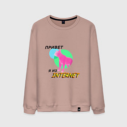 Мужской свитшот Привет я из internet