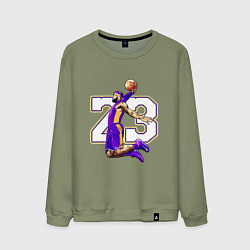 Мужской свитшот Леброн Джеймс