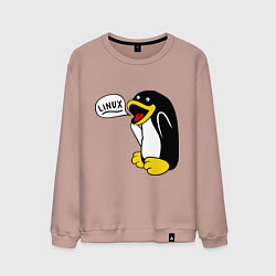 Мужской свитшот Пингвин: Linux
