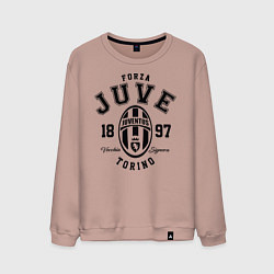 Свитшот хлопковый мужской Forza Juve 1897: Torino, цвет: пыльно-розовый
