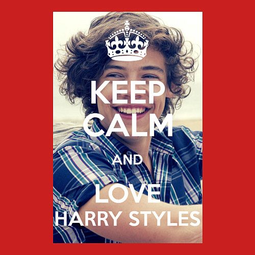 Мужской свитшот Keep Calm & Love Harry Styles / Красный – фото 3