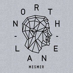 Свитшот хлопковый мужской Northlane: Mesmer, цвет: меланж — фото 2