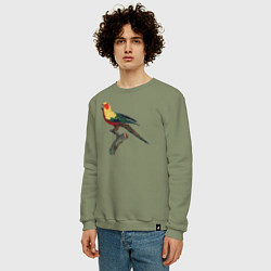 Свитшот хлопковый мужской Попугай аратинга, цвет: авокадо — фото 2