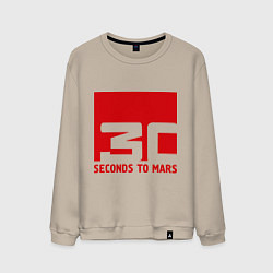 Мужской свитшот 30 seconds to mars