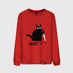 Свитшот хлопковый мужской What cat, цвет: красный