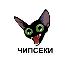 Свитшот хлопковый мужской Чипсеки: кот-мем, цвет: белый — фото 2