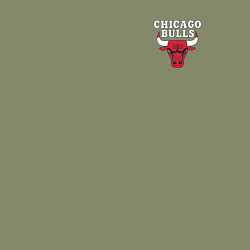 Свитшот хлопковый мужской CHICAGO BULLS, цвет: авокадо — фото 2