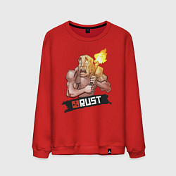 Свитшот хлопковый мужской Rust, цвет: красный