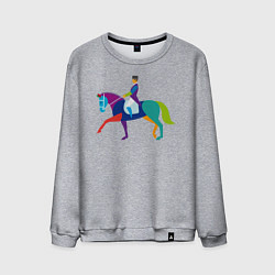 Свитшот хлопковый мужской Всадник на коне, цвет: меланж