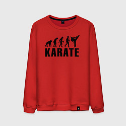 Мужской свитшот Karate Evolution