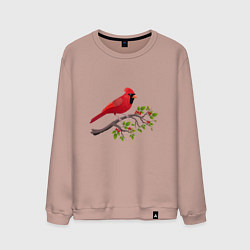 Свитшот хлопковый мужской Красный кардинал, цвет: пыльно-розовый