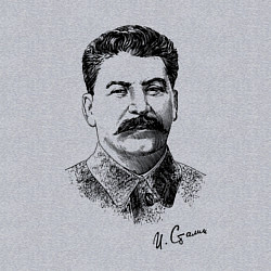 Свитшот хлопковый мужской Товарищ Сталин, цвет: меланж — фото 2