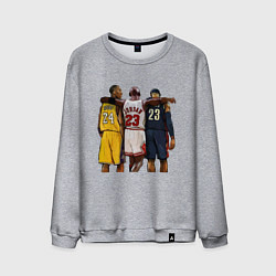 Свитшот хлопковый мужской Bryant, Jordan, James, цвет: меланж