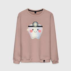 Мужской свитшот Подарок стоматологу