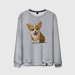 Свитшот хлопковый мужской КОРГИ, цвет: меланж