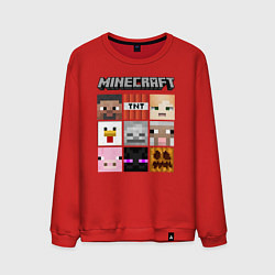 Мужской свитшот MINECRAFT