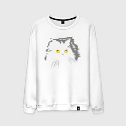Мужской свитшот Грозовой, кошак пушистый