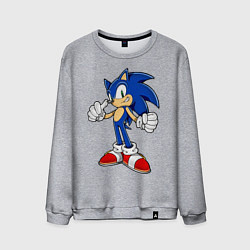 Мужской свитшот Sonic