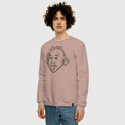 Свитшот хлопковый мужской Альберт Эйнштейн, цвет: пыльно-розовый — фото 2