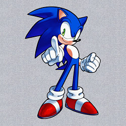 Свитшот хлопковый мужской SONIC, цвет: меланж — фото 2