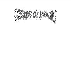 Свитшот хлопковый мужской Cradle of Filth, цвет: белый — фото 2