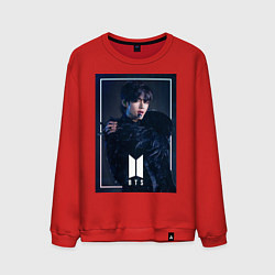 Мужской свитшот BTS Black Swan