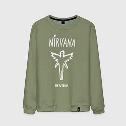 Мужской свитшот Nirvana In utero