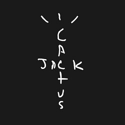 Свитшот хлопковый мужской CACTUS JACK, цвет: черный — фото 2