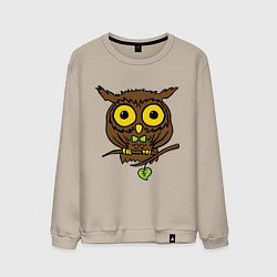 Свитшот хлопковый мужской Филин, цвет: миндальный