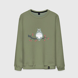 Мужской свитшот Тоторо