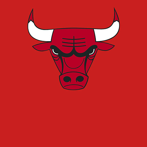 Мужской свитшот Chicago Bulls / Красный – фото 3