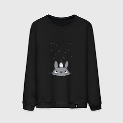 Свитшот хлопковый мужской Любопытный Тоторо и Сажа, цвет: черный