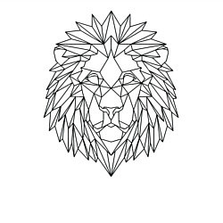 Свитшот хлопковый мужской Геометрический Лев, цвет: белый — фото 2