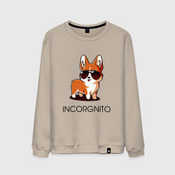 Мужской свитшот ИНКОРГНИТО