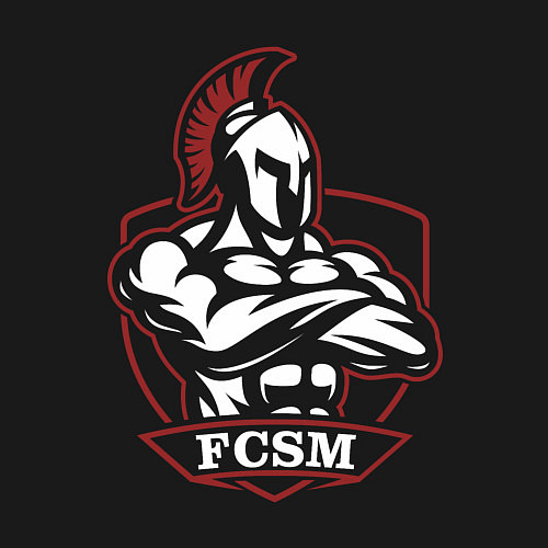 Мужской свитшот FCSM / Черный – фото 3