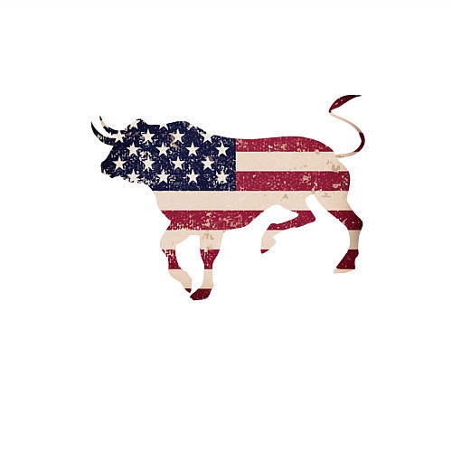 Мужской свитшот USA Bull / Белый – фото 3