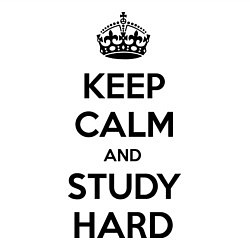 Свитшот хлопковый мужской Keep Calm & Study Hard, цвет: белый — фото 2