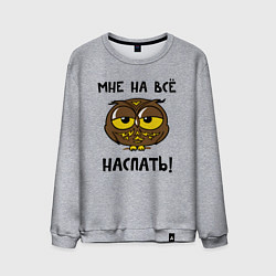 Мужской свитшот Мне на все наспать