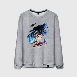Мужской свитшот Dragon Ball