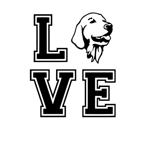 Мужской свитшот Лабрадор / Белый – фото 3