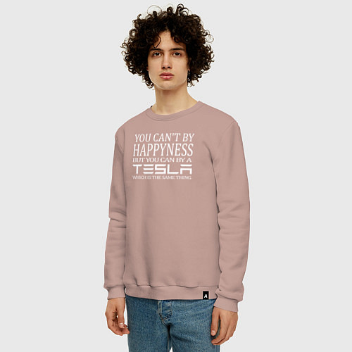 Мужской свитшот Тесла счастье / Пыльно-розовый – фото 3