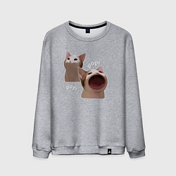 Мужской свитшот Cat Pop - Мем