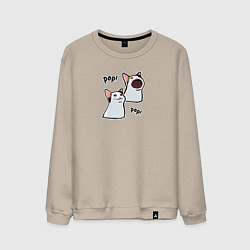 Мужской свитшот Pop Cat