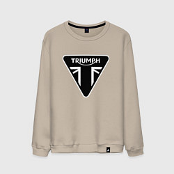 Мужской свитшот Triumph Мото Лого Z