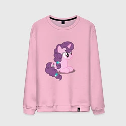Мужской свитшот Pony Pink Mammal Purple - Litt