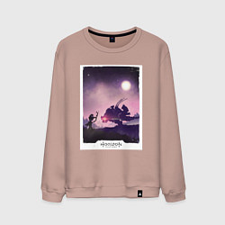 Мужской свитшот Horizon fight