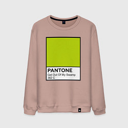Свитшот хлопковый мужской Shrek: Pantone Color, цвет: пыльно-розовый