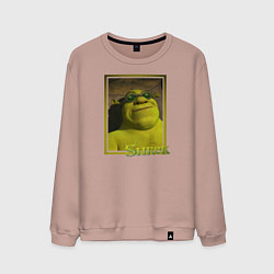 Свитшот хлопковый мужской Шрек в очках, цвет: пыльно-розовый